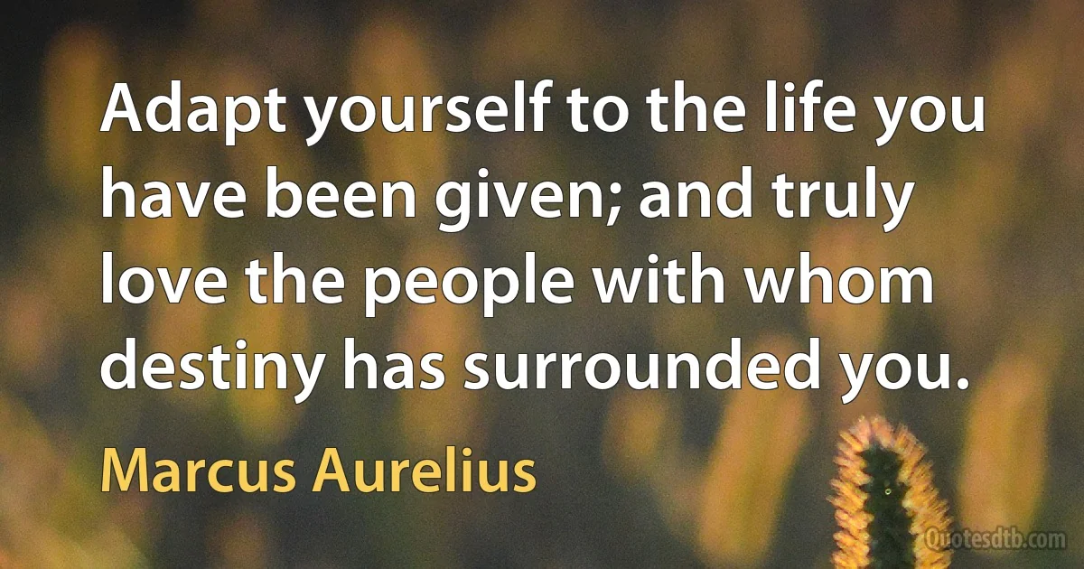 Adapt yourself to the life you have been given; and truly love the people with whom destiny has surrounded you. (Marcus Aurelius)