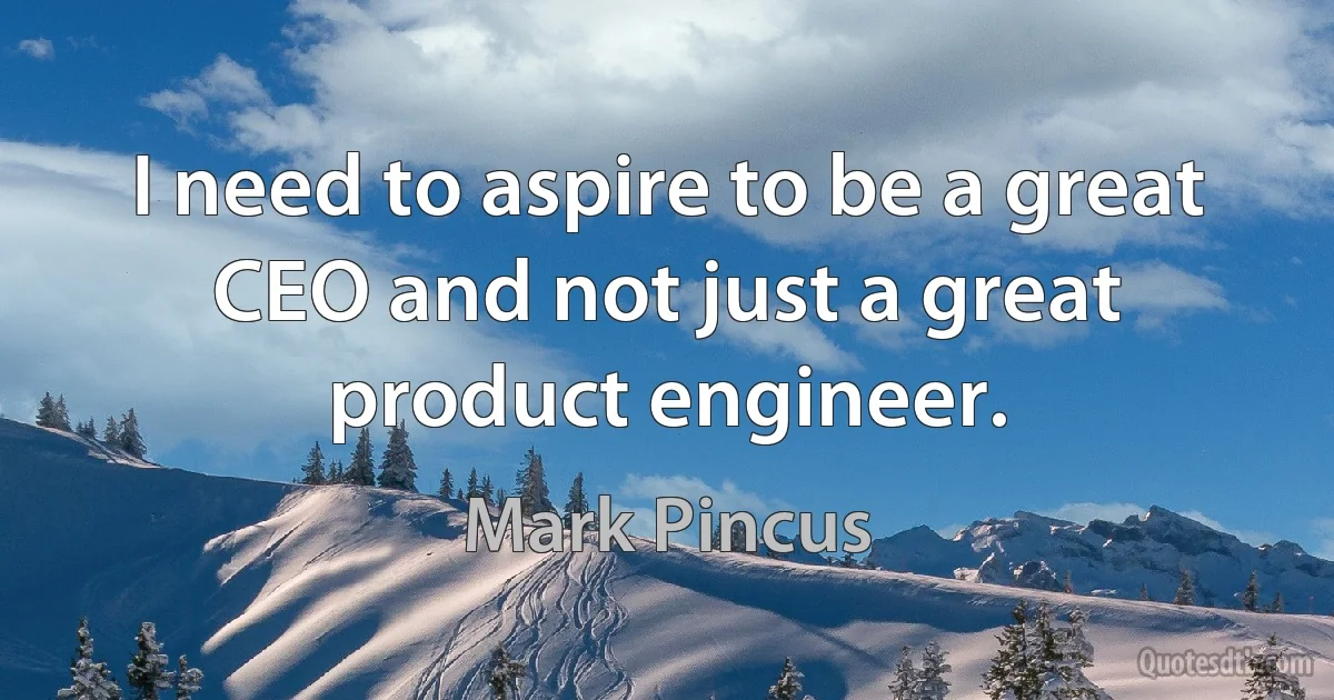 I need to aspire to be a great CEO and not just a great product engineer. (Mark Pincus)