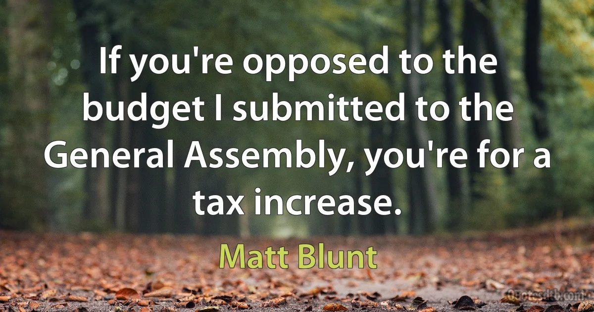 If you're opposed to the budget I submitted to the General Assembly, you're for a tax increase. (Matt Blunt)