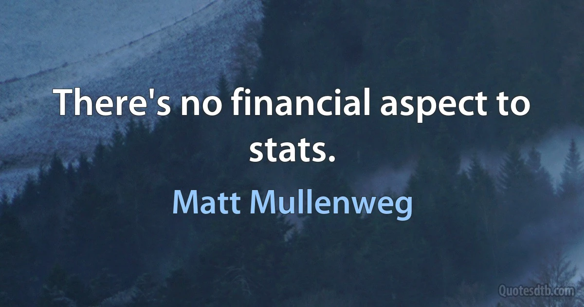 There's no financial aspect to stats. (Matt Mullenweg)