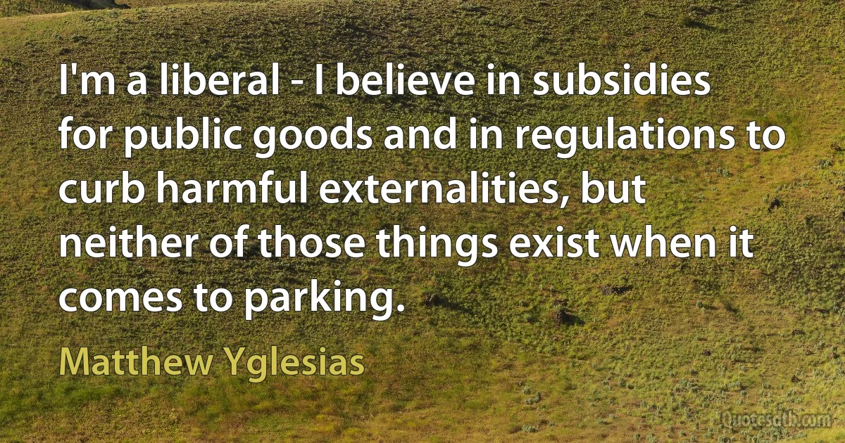 I'm a liberal - I believe in subsidies for public goods and in regulations to curb harmful externalities, but neither of those things exist when it comes to parking. (Matthew Yglesias)