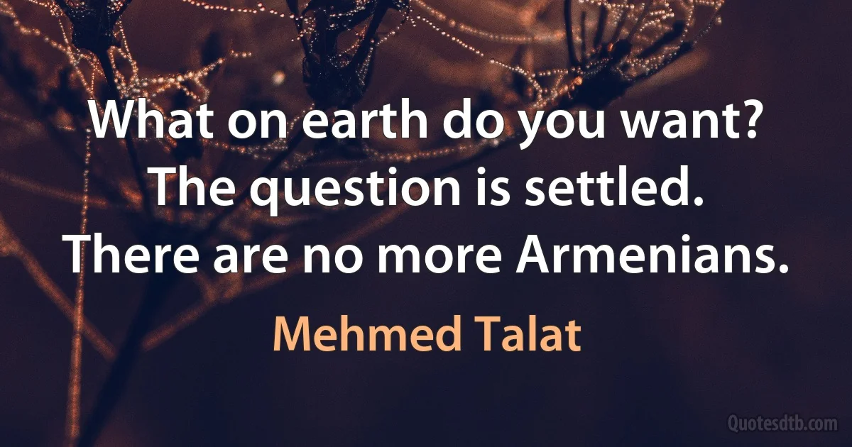 What on earth do you want? The question is settled. There are no more Armenians. (Mehmed Talat)