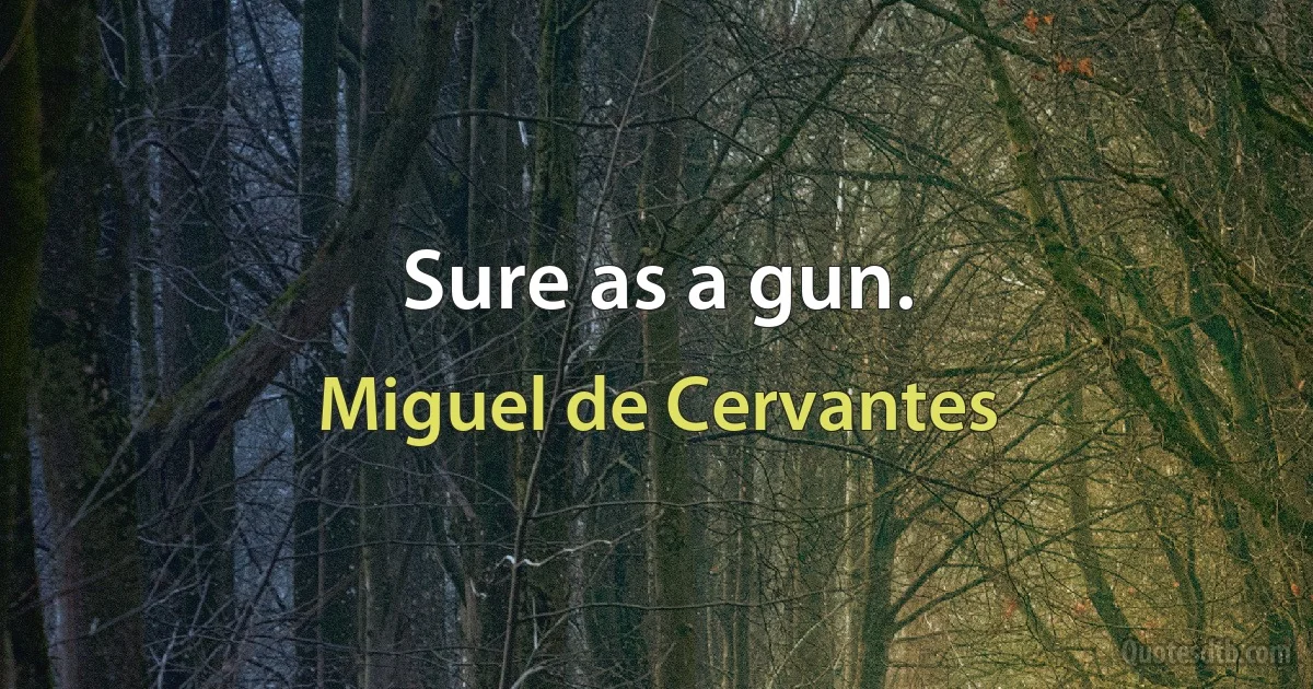 Sure as a gun. (Miguel de Cervantes)