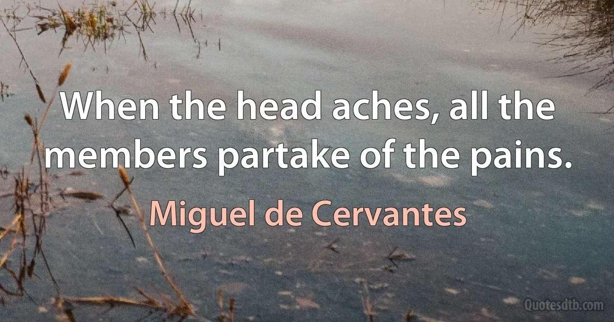 When the head aches, all the members partake of the pains. (Miguel de Cervantes)