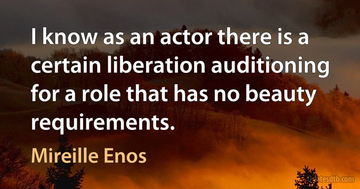 I know as an actor there is a certain liberation auditioning for a role that has no beauty requirements. (Mireille Enos)