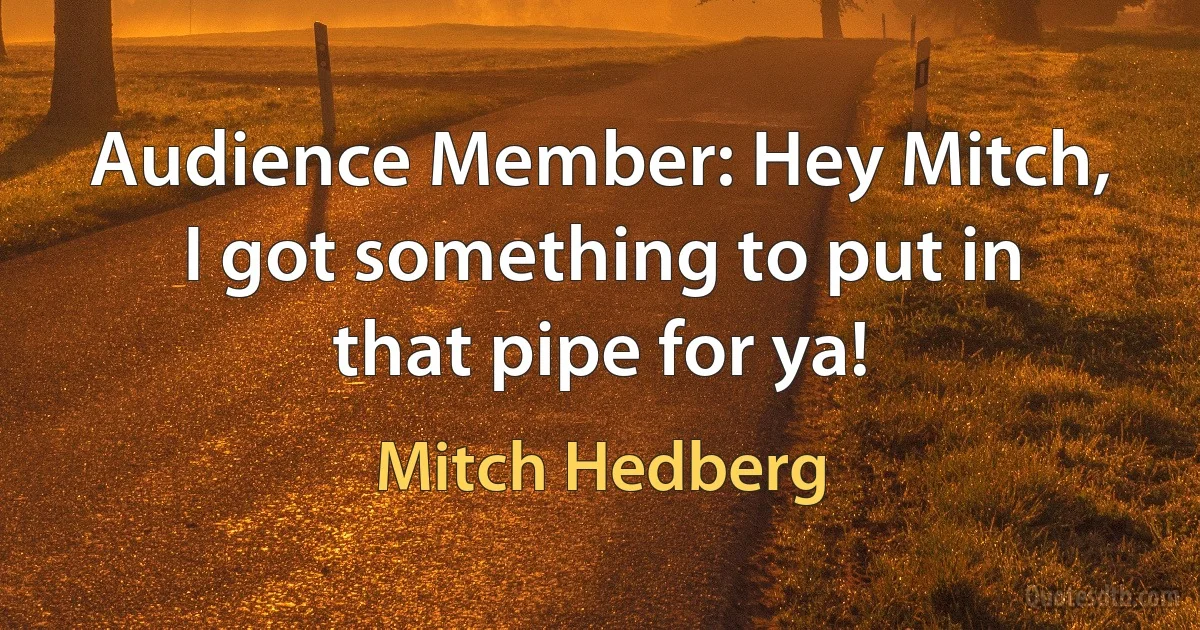 Audience Member: Hey Mitch, I got something to put in that pipe for ya! (Mitch Hedberg)