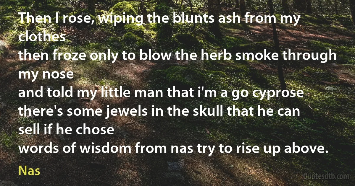 Then I rose, wiping the blunts ash from my clothes
then froze only to blow the herb smoke through my nose
and told my little man that i'm a go cyprose
there's some jewels in the skull that he can sell if he chose
words of wisdom from nas try to rise up above. (Nas)