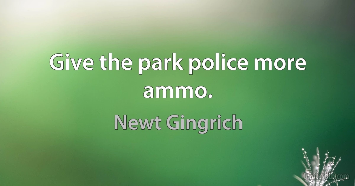 Give the park police more ammo. (Newt Gingrich)