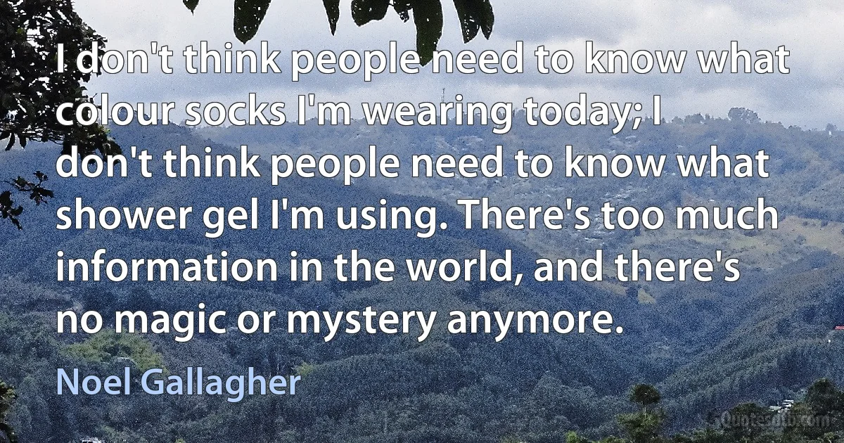 I don't think people need to know what colour socks I'm wearing today; I don't think people need to know what shower gel I'm using. There's too much information in the world, and there's no magic or mystery anymore. (Noel Gallagher)