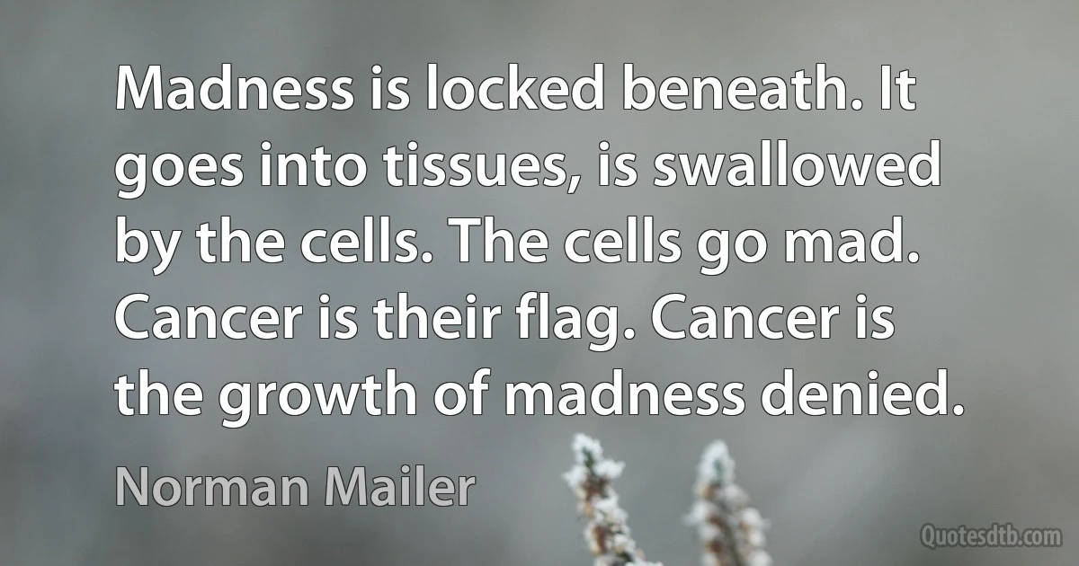 Madness is locked beneath. It goes into tissues, is swallowed by the cells. The cells go mad. Cancer is their flag. Cancer is the growth of madness denied. (Norman Mailer)