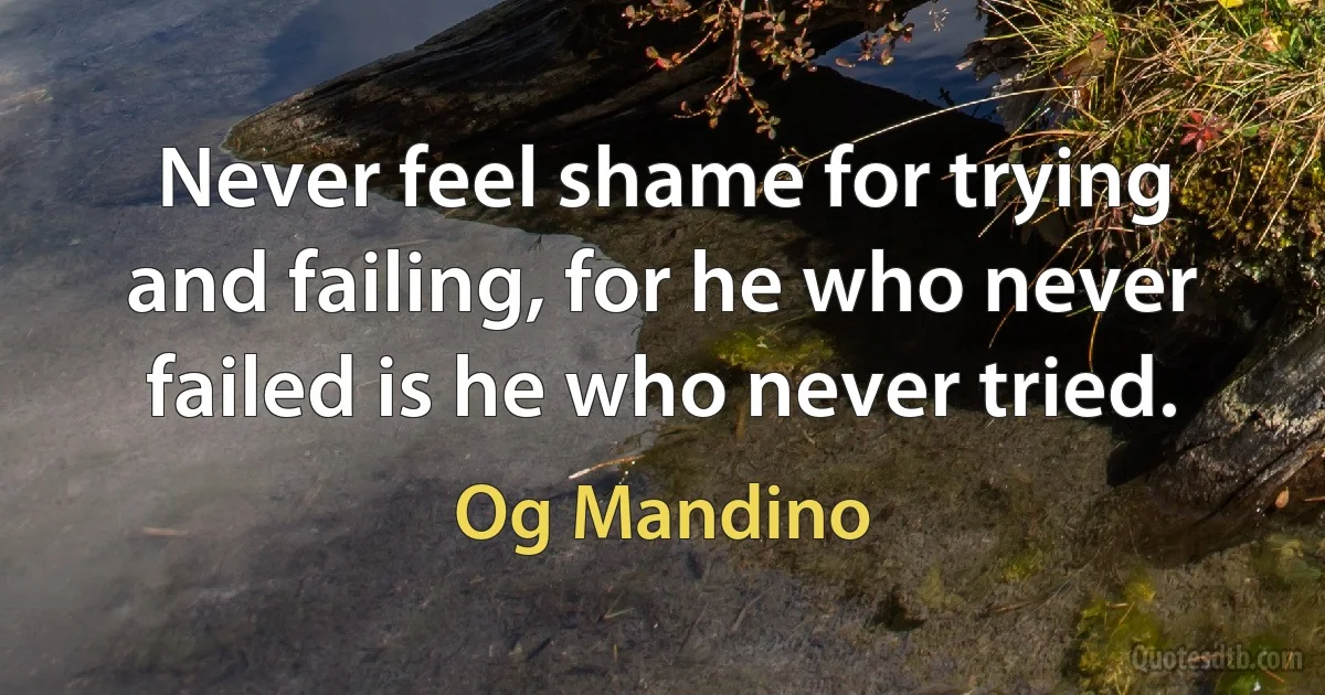 Never feel shame for trying and failing, for he who never failed is he who never tried. (Og Mandino)