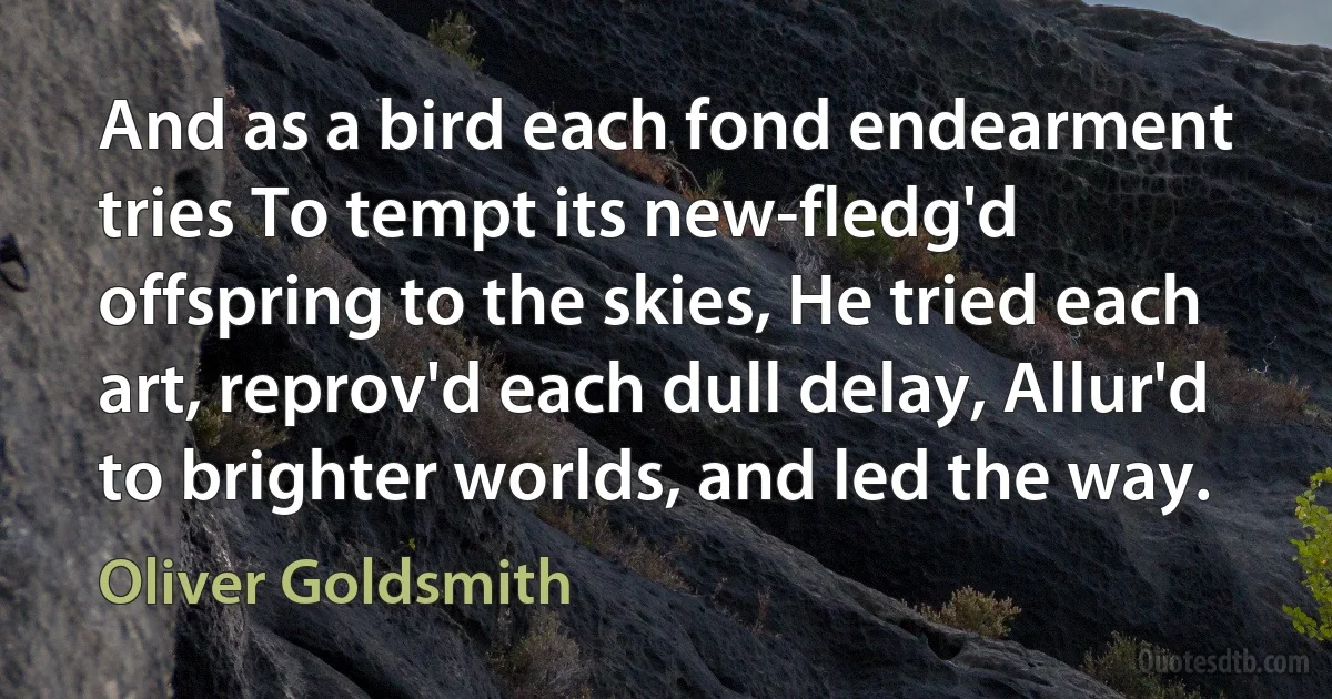 And as a bird each fond endearment tries To tempt its new-fledg'd offspring to the skies, He tried each art, reprov'd each dull delay, Allur'd to brighter worlds, and led the way. (Oliver Goldsmith)