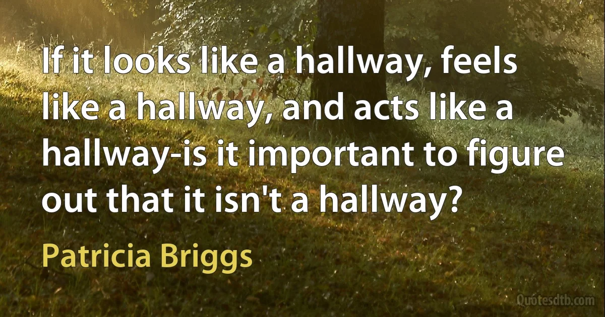 If it looks like a hallway, feels like a hallway, and acts like a hallway-is it important to figure out that it isn't a hallway? (Patricia Briggs)