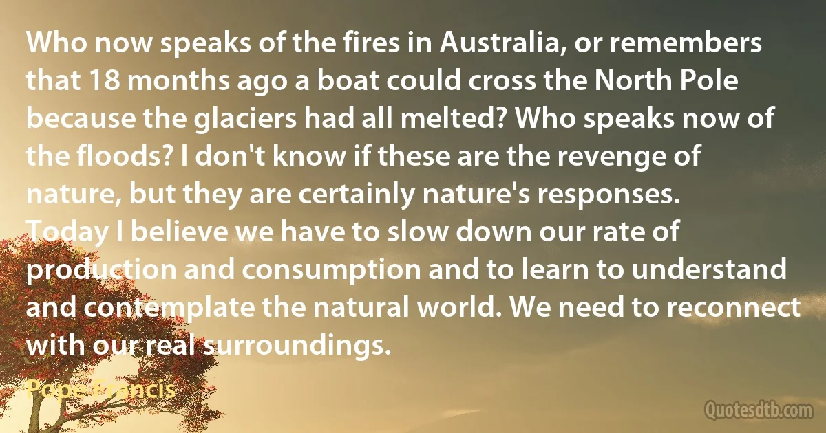 Who now speaks of the fires in Australia, or remembers that 18 months ago a boat could cross the North Pole because the glaciers had all melted? Who speaks now of the floods? I don't know if these are the revenge of nature, but they are certainly nature's responses. Today I believe we have to slow down our rate of production and consumption and to learn to understand and contemplate the natural world. We need to reconnect with our real surroundings. (Pope Francis)