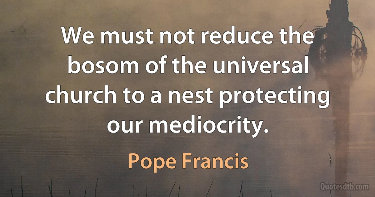 We must not reduce the bosom of the universal church to a nest protecting our mediocrity. (Pope Francis)