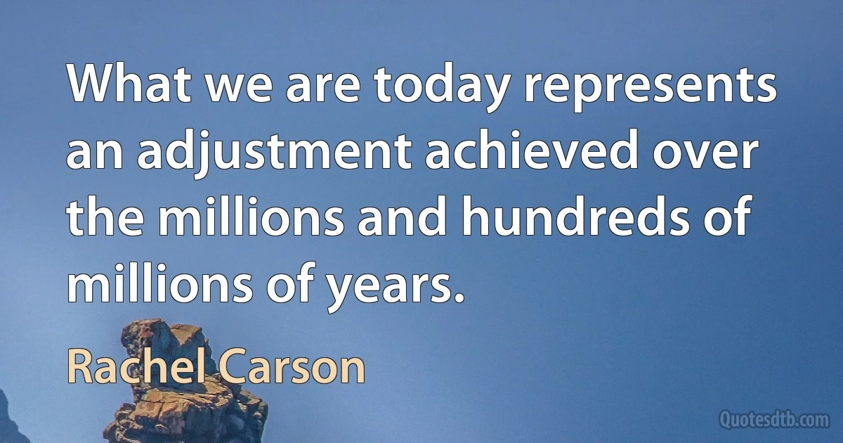 What we are today represents an adjustment achieved over the millions and hundreds of millions of years. (Rachel Carson)