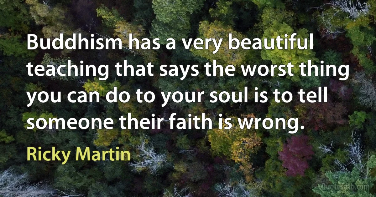 Buddhism has a very beautiful teaching that says the worst thing you can do to your soul is to tell someone their faith is wrong. (Ricky Martin)