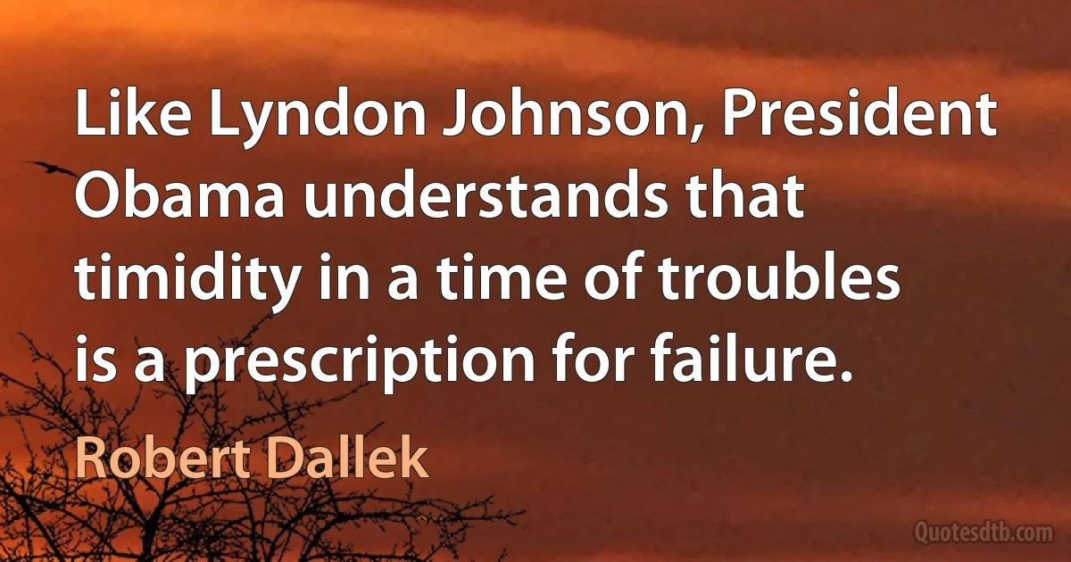 Like Lyndon Johnson, President Obama understands that timidity in a time of troubles is a prescription for failure. (Robert Dallek)