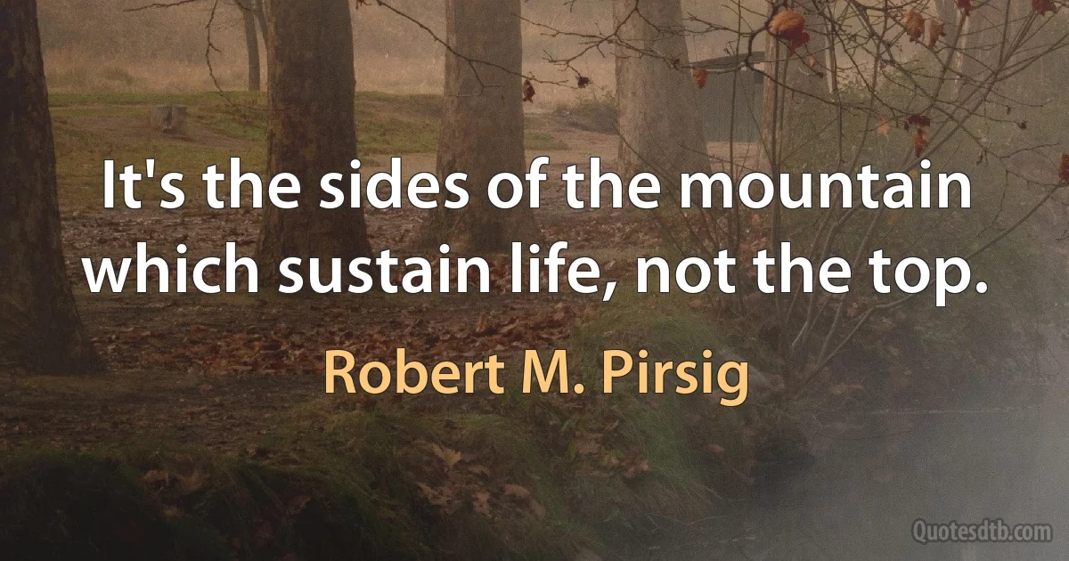 It's the sides of the mountain which sustain life, not the top. (Robert M. Pirsig)