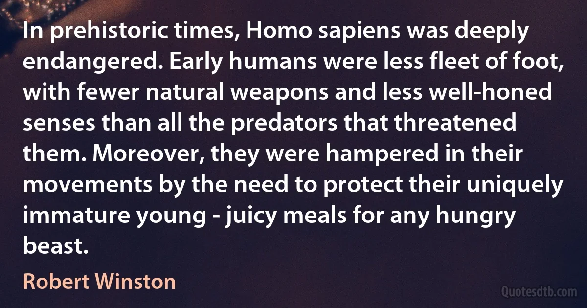 In prehistoric times, Homo sapiens was deeply endangered. Early humans were less fleet of foot, with fewer natural weapons and less well-honed senses than all the predators that threatened them. Moreover, they were hampered in their movements by the need to protect their uniquely immature young - juicy meals for any hungry beast. (Robert Winston)