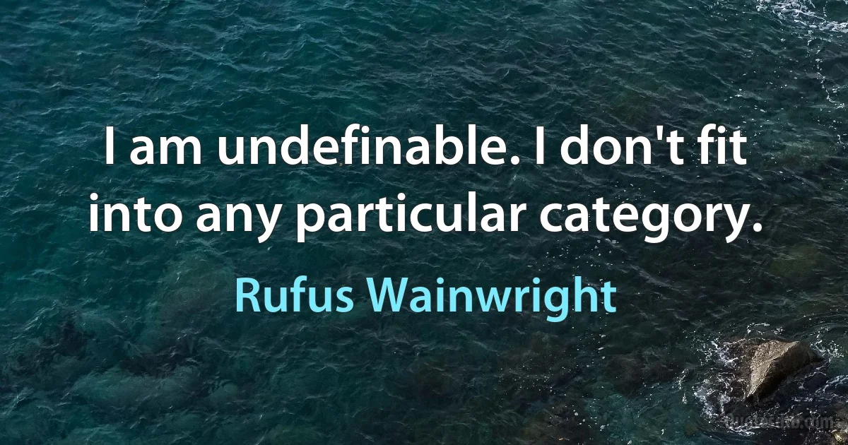 I am undefinable. I don't fit into any particular category. (Rufus Wainwright)