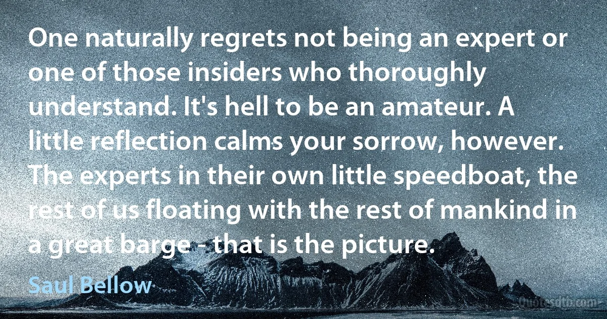 One naturally regrets not being an expert or one of those insiders who thoroughly understand. It's hell to be an amateur. A little reflection calms your sorrow, however. The experts in their own little speedboat, the rest of us floating with the rest of mankind in a great barge - that is the picture. (Saul Bellow)