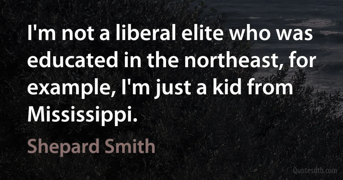 I'm not a liberal elite who was educated in the northeast, for example, I'm just a kid from Mississippi. (Shepard Smith)