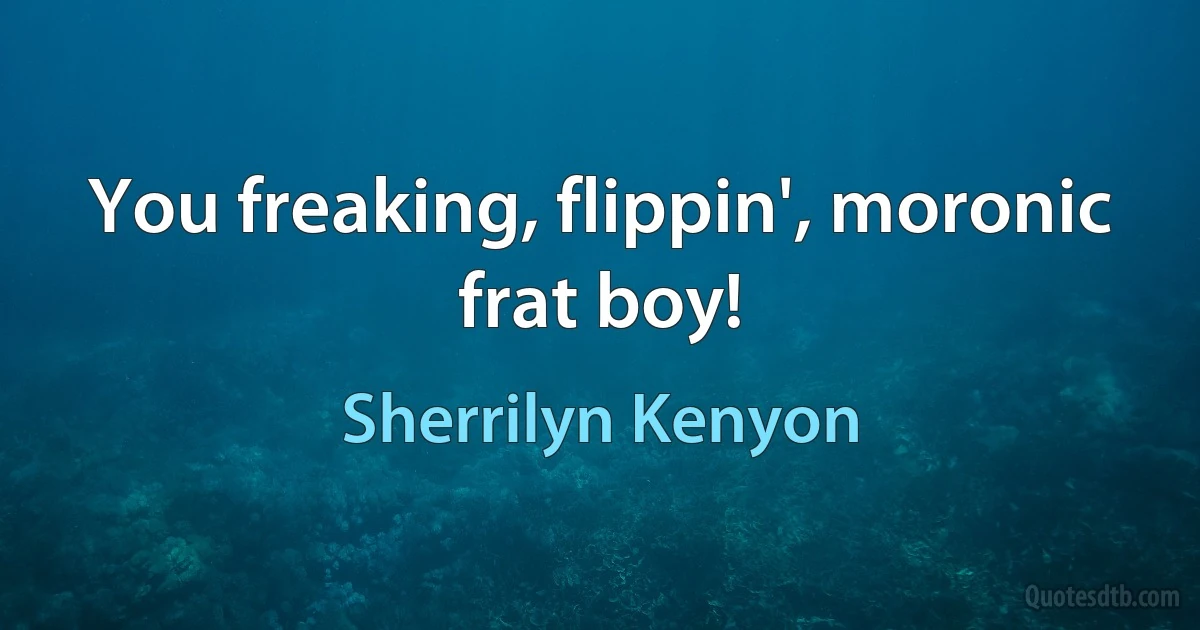 You freaking, flippin', moronic frat boy! (Sherrilyn Kenyon)