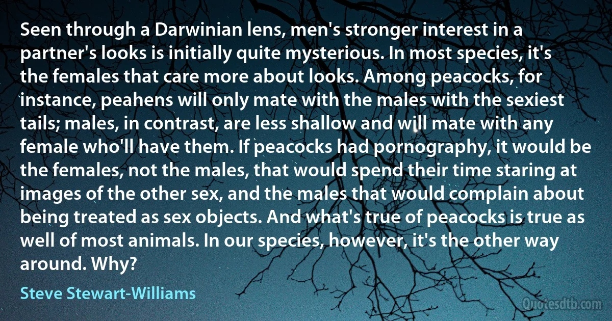 Seen through a Darwinian lens, men's stronger interest in a partner's looks is initially quite mysterious. In most species, it's the females that care more about looks. Among peacocks, for instance, peahens will only mate with the males with the sexiest tails; males, in contrast, are less shallow and will mate with any female who'll have them. If peacocks had pornography, it would be the females, not the males, that would spend their time staring at images of the other sex, and the males that would complain about being treated as sex objects. And what's true of peacocks is true as well of most animals. In our species, however, it's the other way around. Why? (Steve Stewart-Williams)