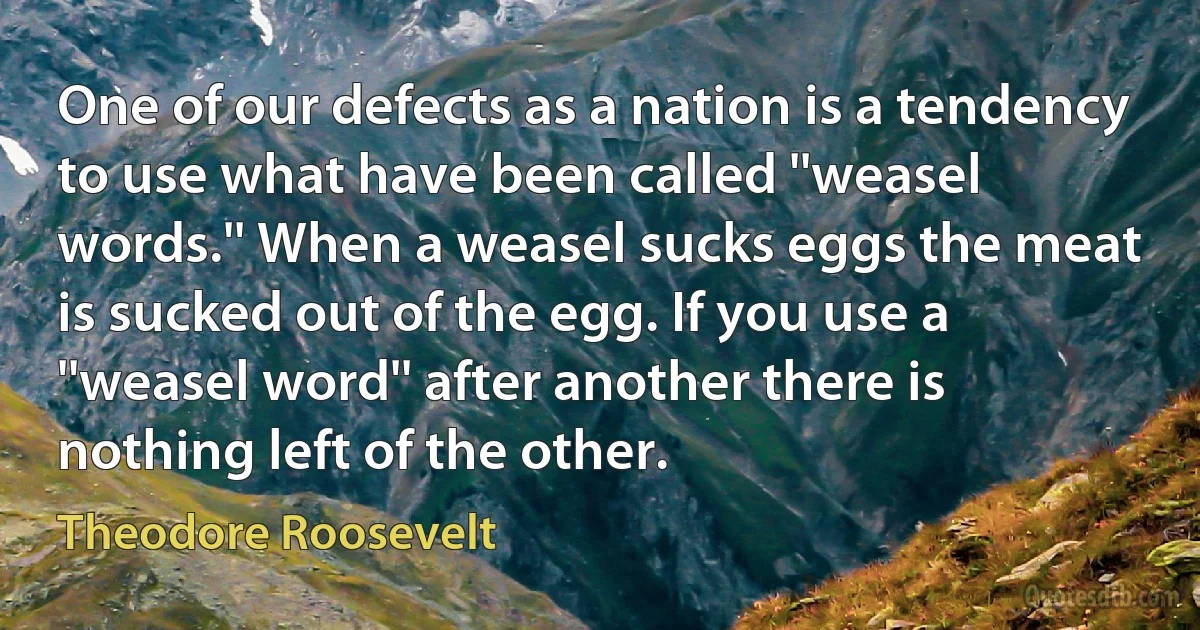 One of our defects as a nation is a tendency to use what have been called ''weasel words.'' When a weasel sucks eggs the meat is sucked out of the egg. If you use a ''weasel word'' after another there is nothing left of the other. (Theodore Roosevelt)