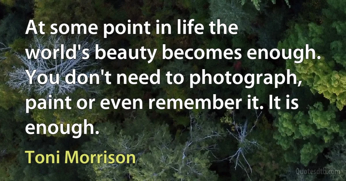 At some point in life the world's beauty becomes enough. You don't need to photograph, paint or even remember it. It is enough. (Toni Morrison)