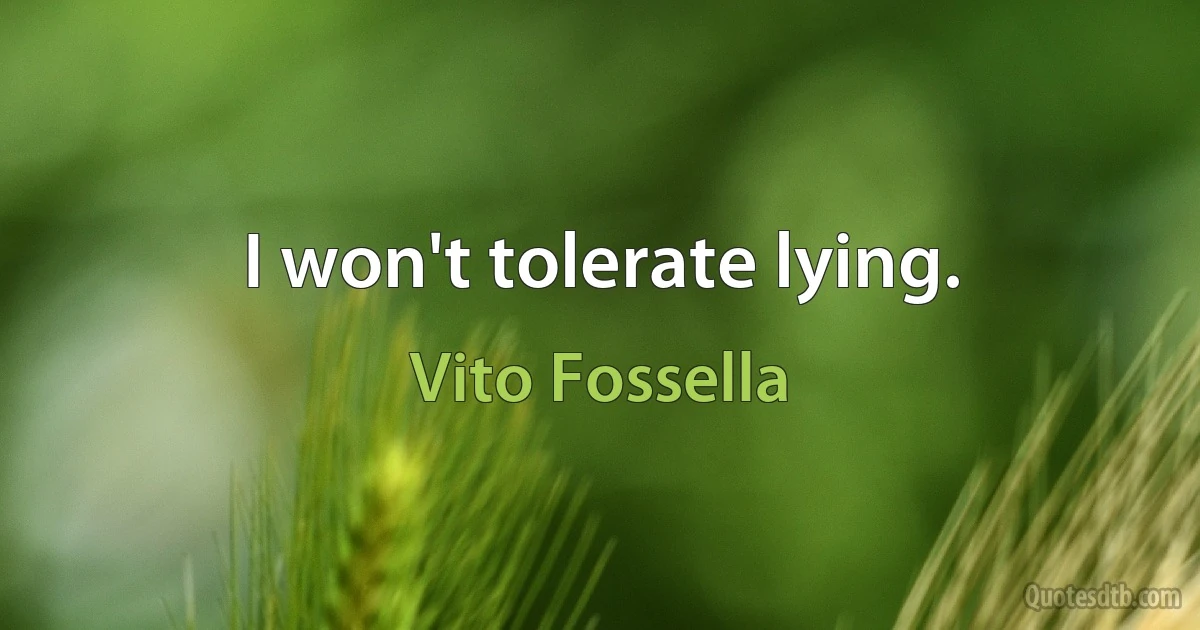 I won't tolerate lying. (Vito Fossella)