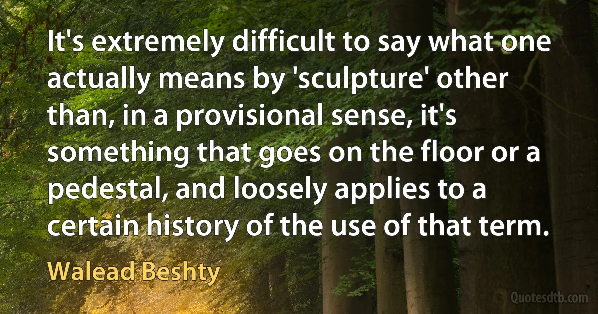 It's extremely difficult to say what one actually means by 'sculpture' other than, in a provisional sense, it's something that goes on the floor or a pedestal, and loosely applies to a certain history of the use of that term. (Walead Beshty)