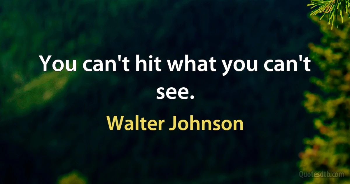 You can't hit what you can't see. (Walter Johnson)