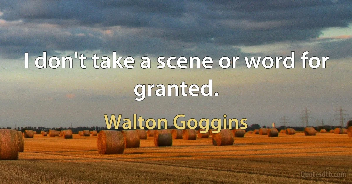 I don't take a scene or word for granted. (Walton Goggins)