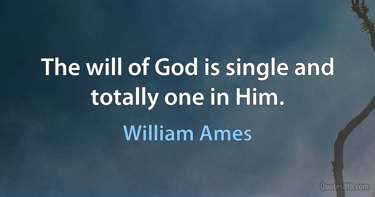 The will of God is single and totally one in Him. (William Ames)