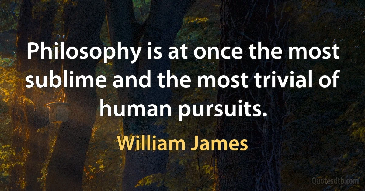 Philosophy is at once the most sublime and the most trivial of human pursuits. (William James)