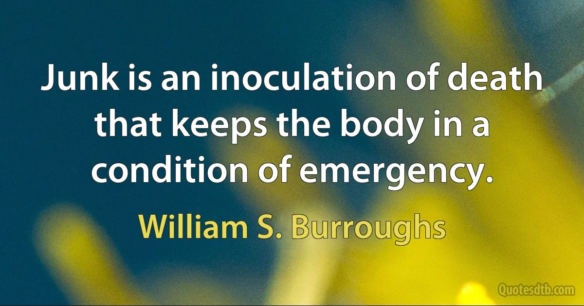 Junk is an inoculation of death that keeps the body in a condition of emergency. (William S. Burroughs)