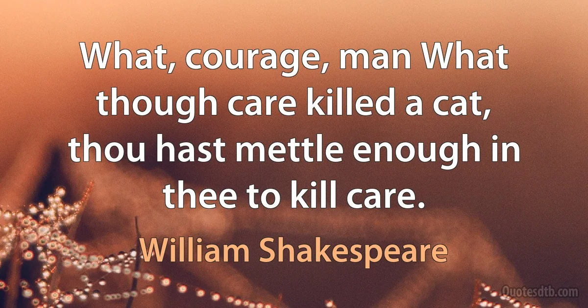 What, courage, man What though care killed a cat, thou hast mettle enough in thee to kill care. (William Shakespeare)