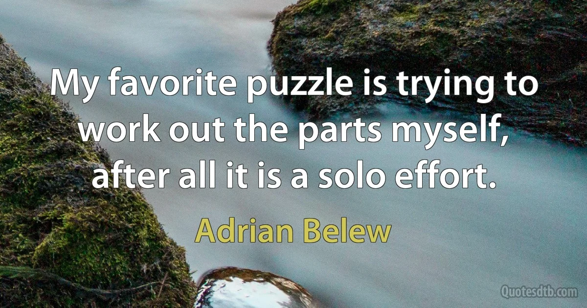 My favorite puzzle is trying to work out the parts myself, after all it is a solo effort. (Adrian Belew)