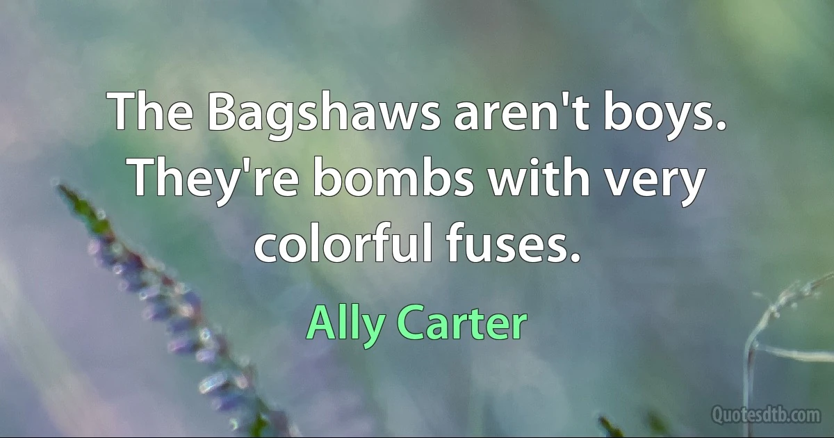 The Bagshaws aren't boys. They're bombs with very colorful fuses. (Ally Carter)