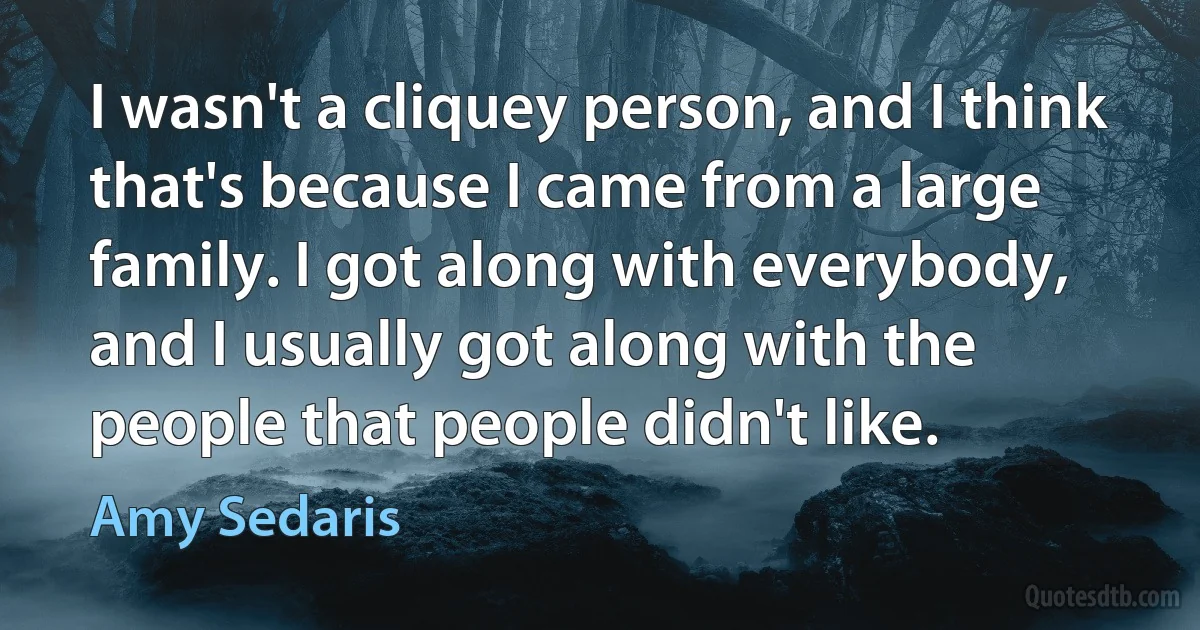 I wasn't a cliquey person, and I think that's because I came from a large family. I got along with everybody, and I usually got along with the people that people didn't like. (Amy Sedaris)