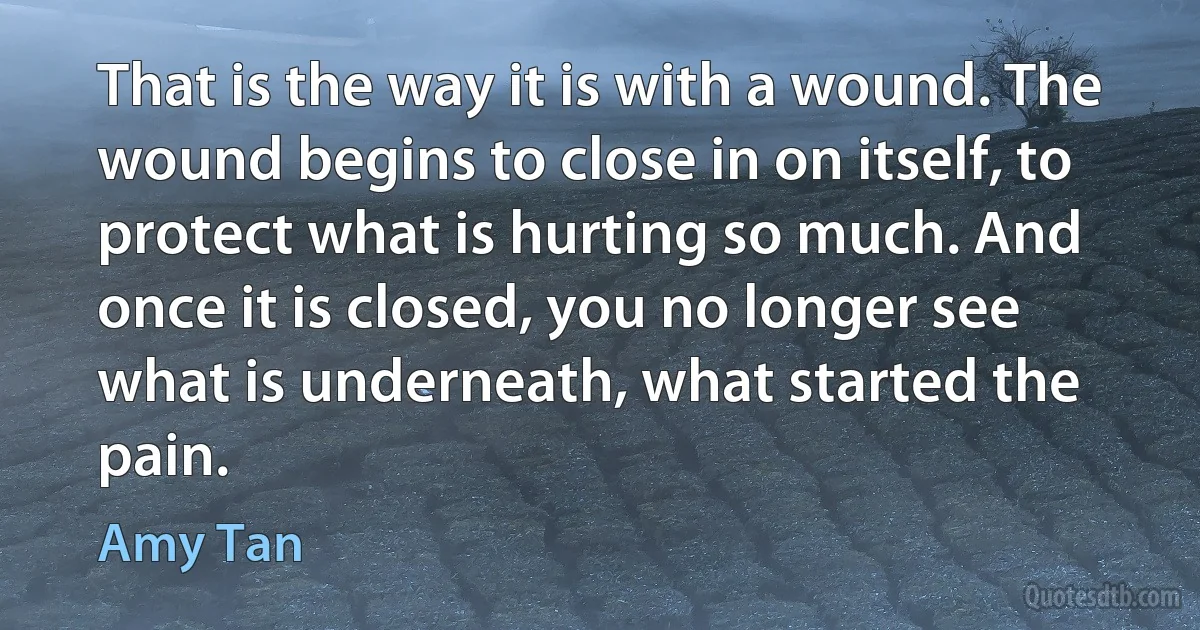 That is the way it is with a wound. The wound begins to close in on itself, to protect what is hurting so much. And once it is closed, you no longer see what is underneath, what started the pain. (Amy Tan)