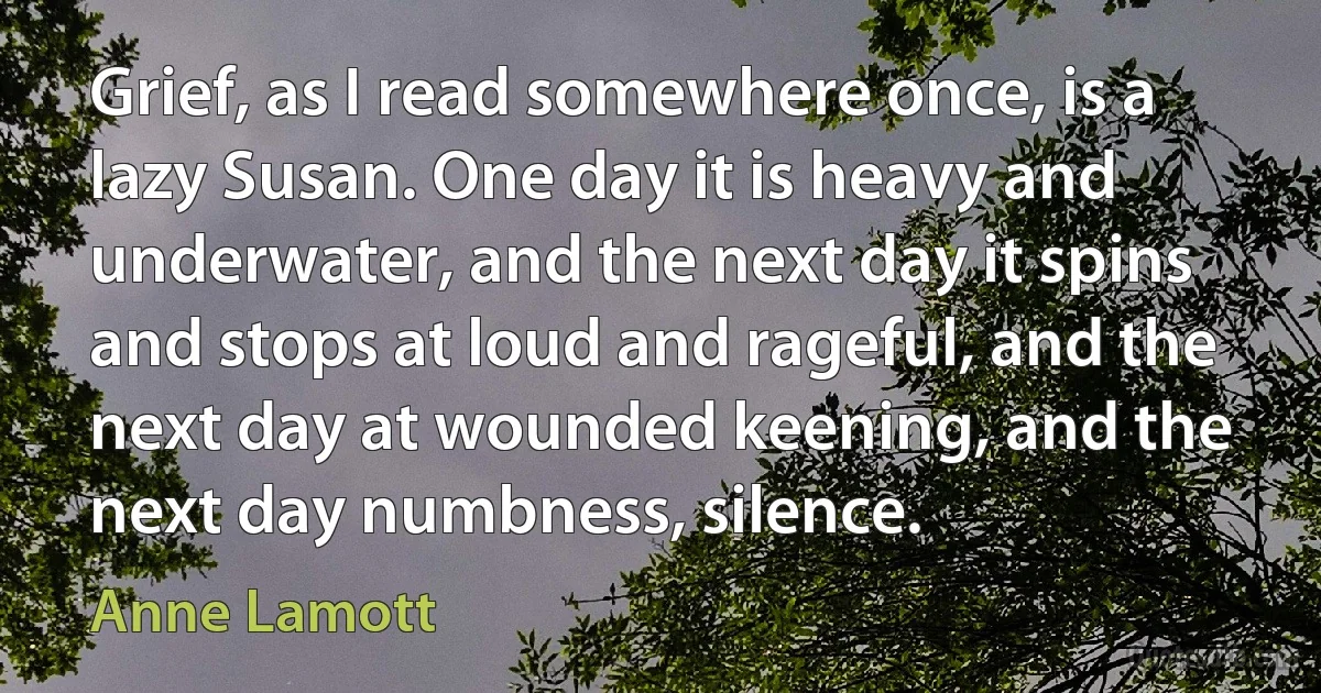 Grief, as I read somewhere once, is a lazy Susan. One day it is heavy and underwater, and the next day it spins and stops at loud and rageful, and the next day at wounded keening, and the next day numbness, silence. (Anne Lamott)