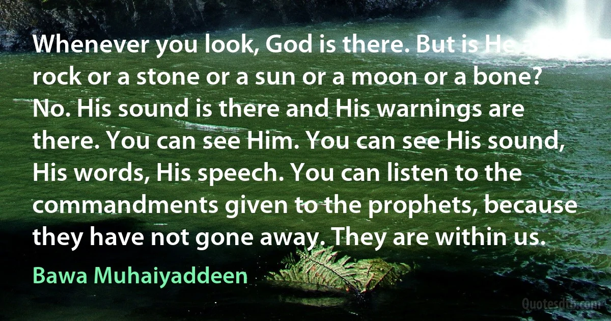 Whenever you look, God is there. But is He a rock or a stone or a sun or a moon or a bone? No. His sound is there and His warnings are there. You can see Him. You can see His sound, His words, His speech. You can listen to the commandments given to the prophets, because they have not gone away. They are within us. (Bawa Muhaiyaddeen)