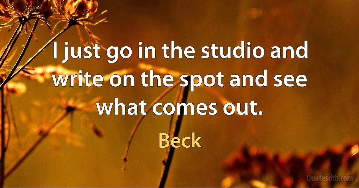 I just go in the studio and write on the spot and see what comes out. (Beck)