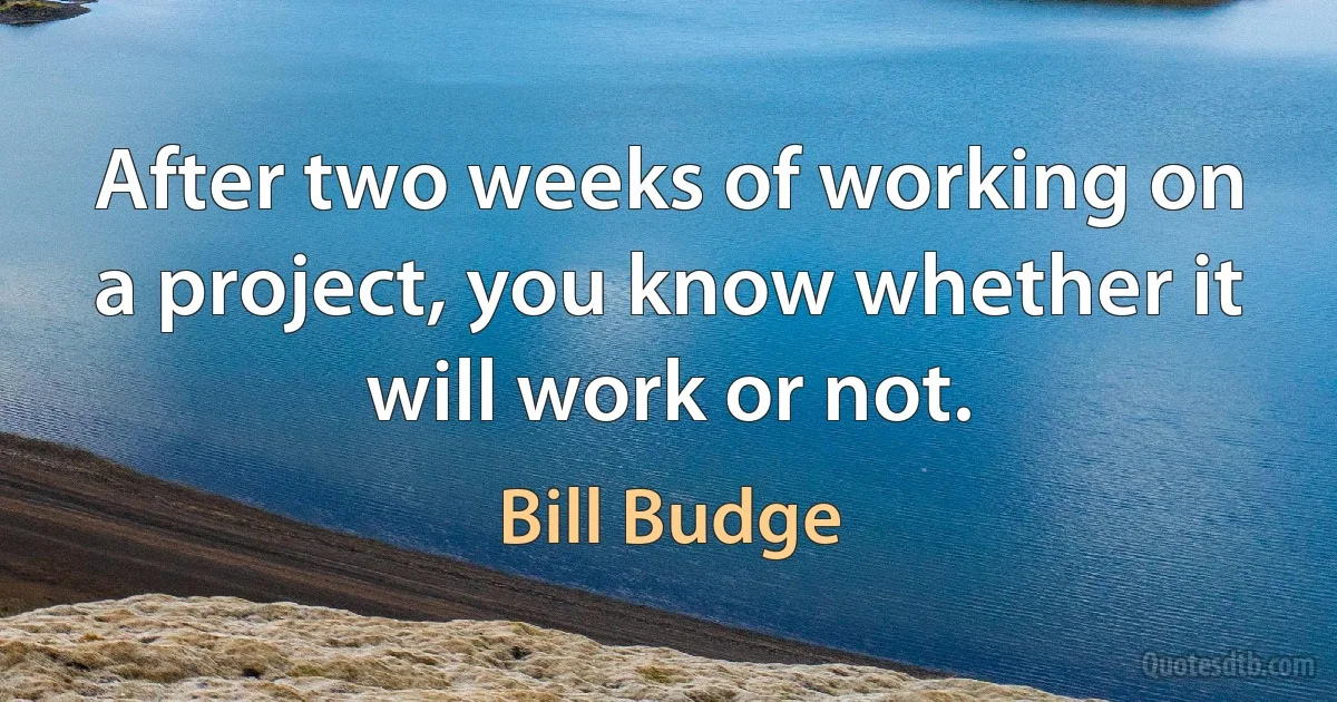 After two weeks of working on a project, you know whether it will work or not. (Bill Budge)