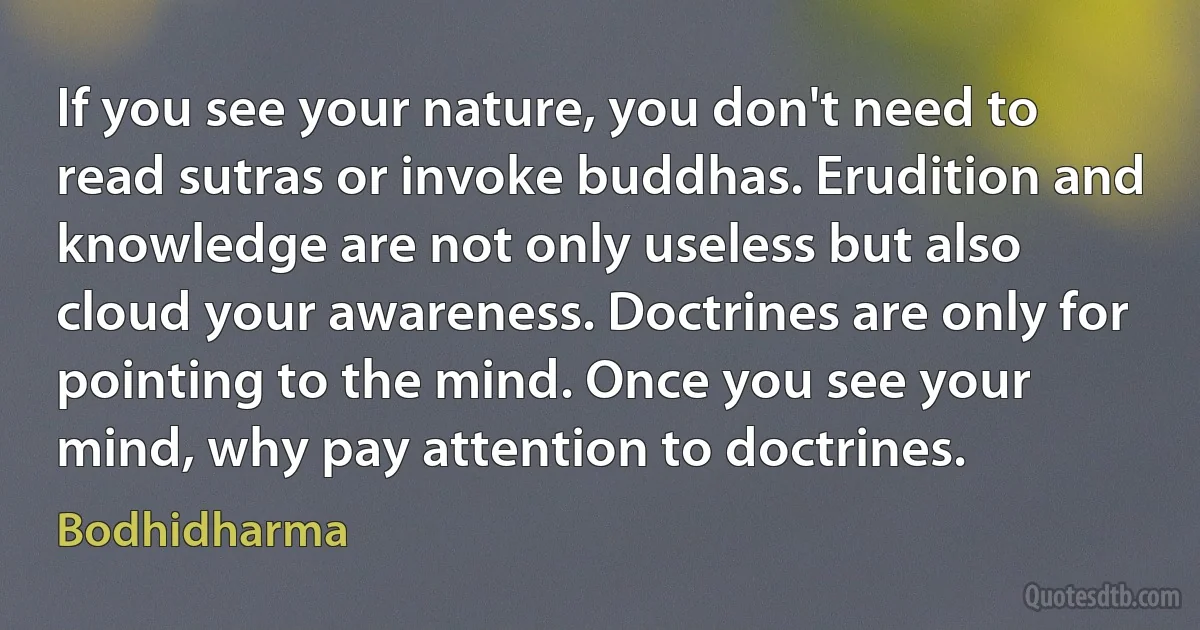 If you see your nature, you don't need to read sutras or invoke buddhas. Erudition and knowledge are not only useless but also cloud your awareness. Doctrines are only for pointing to the mind. Once you see your mind, why pay attention to doctrines. (Bodhidharma)