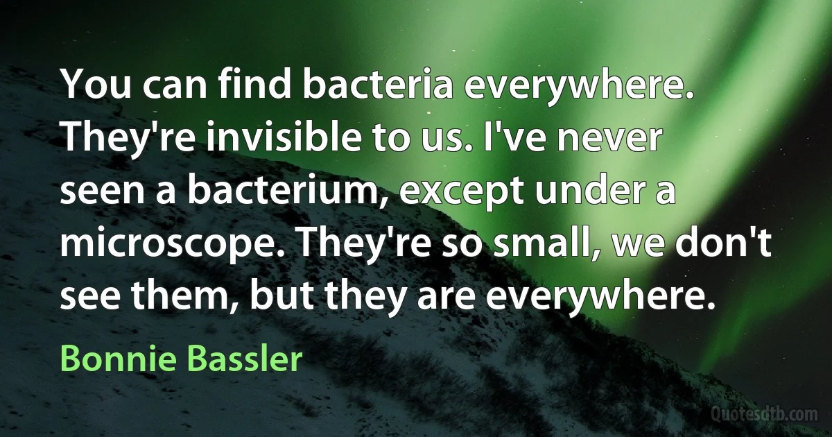 You can find bacteria everywhere. They're invisible to us. I've never seen a bacterium, except under a microscope. They're so small, we don't see them, but they are everywhere. (Bonnie Bassler)