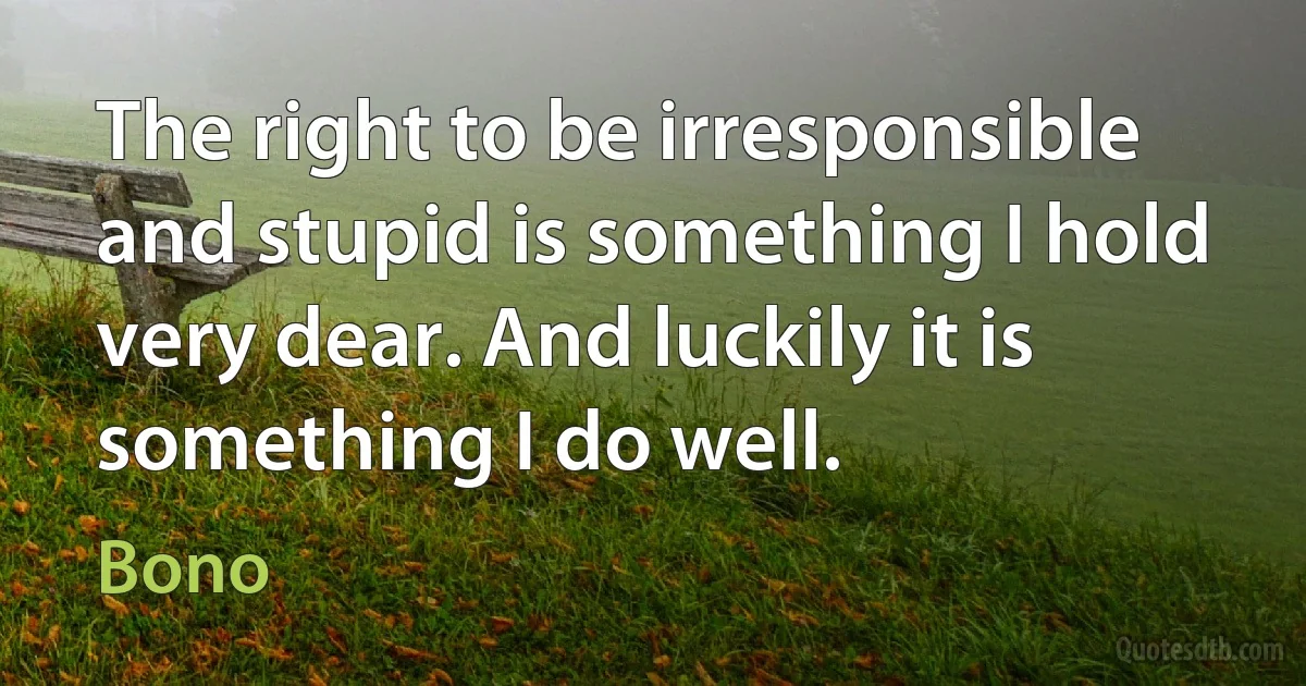 The right to be irresponsible and stupid is something I hold very dear. And luckily it is something I do well. (Bono)